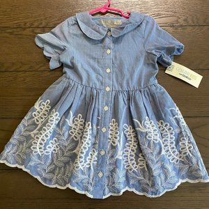 OshKosh B'gosh Blue and White Embroidered Dress